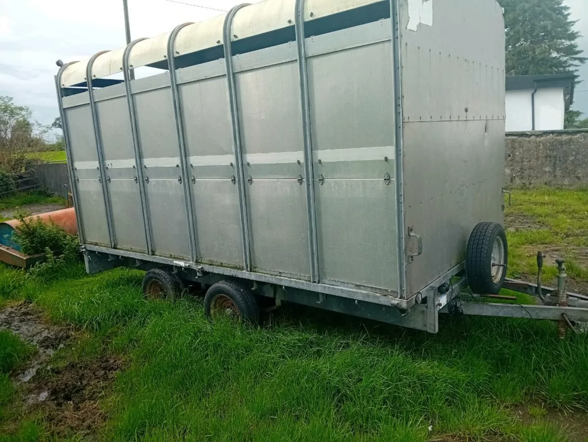 Ifor Williams 12 x 6ft 6" cattle trailer - Image 4