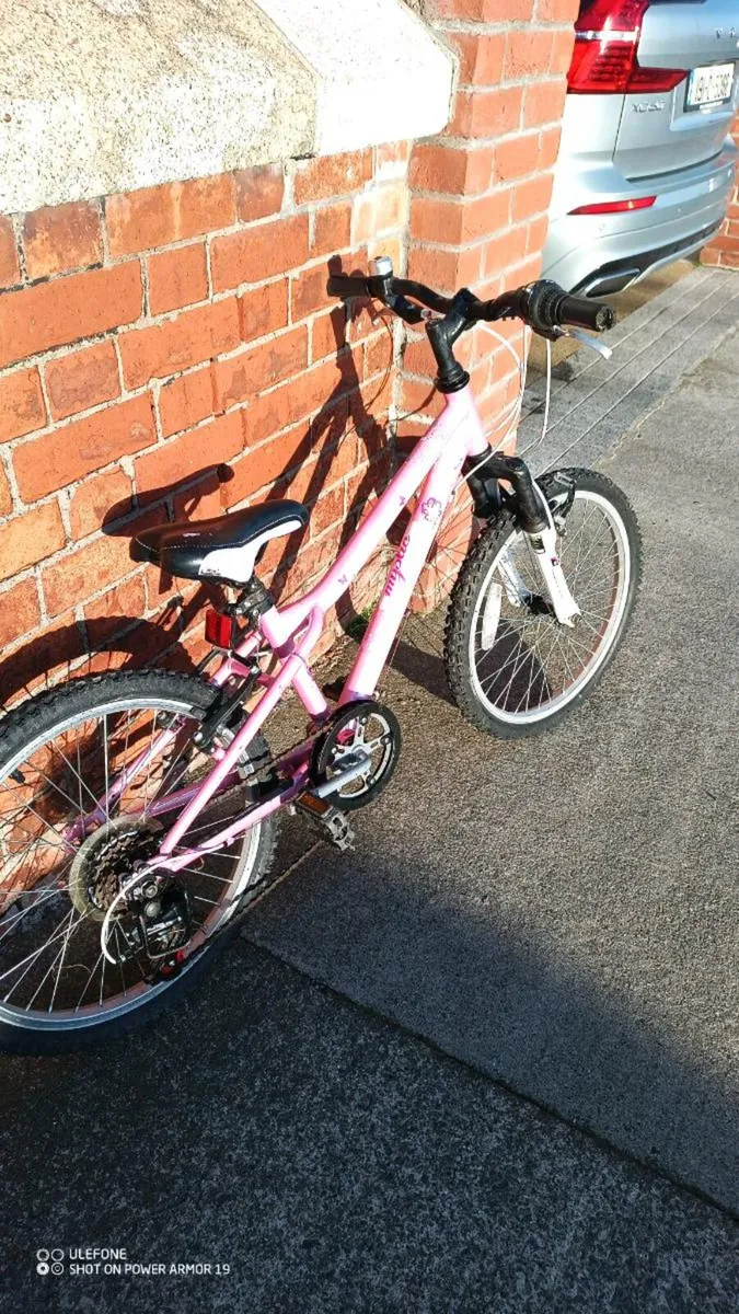 20" Mountain Bike - Image 1