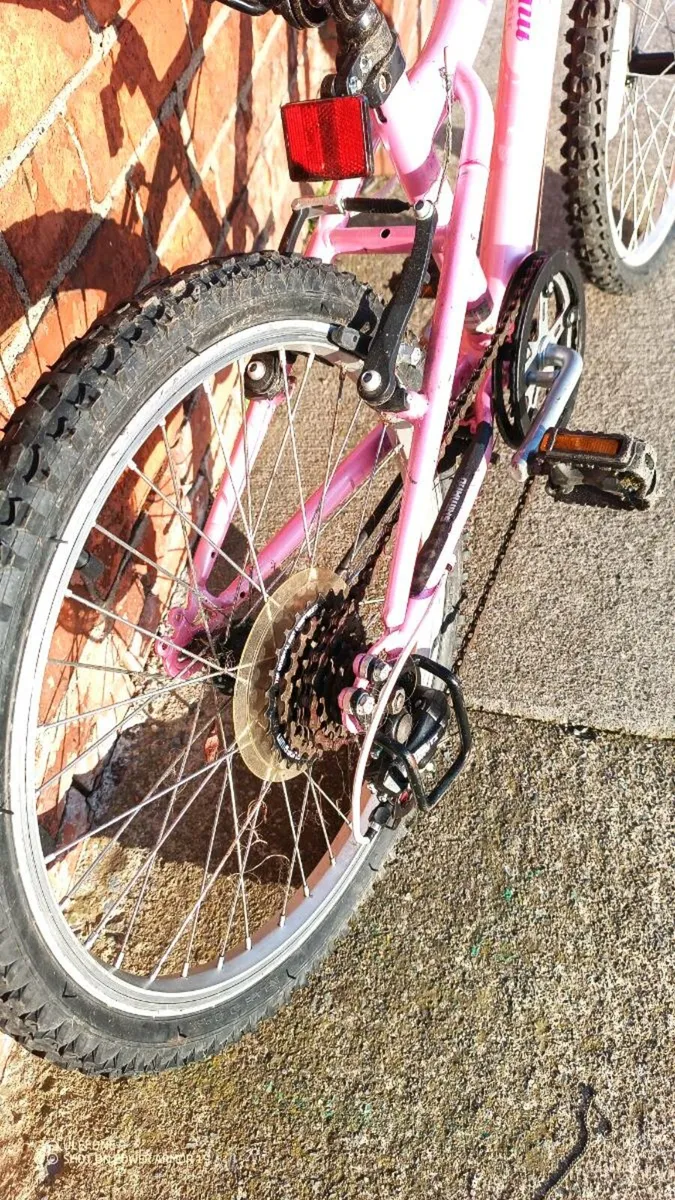 20" Mountain Bike - Image 2