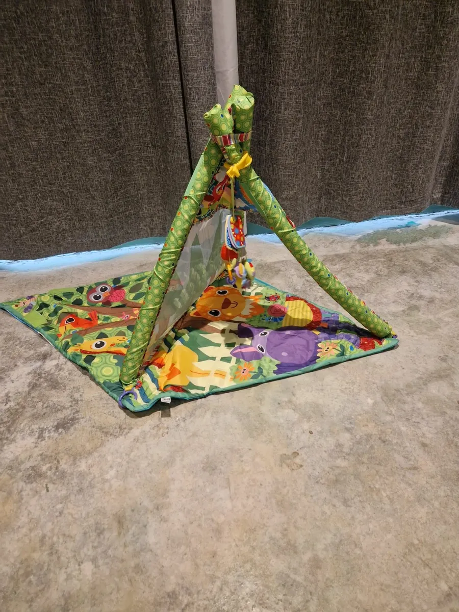 Baby Play Mat & Activity Gym