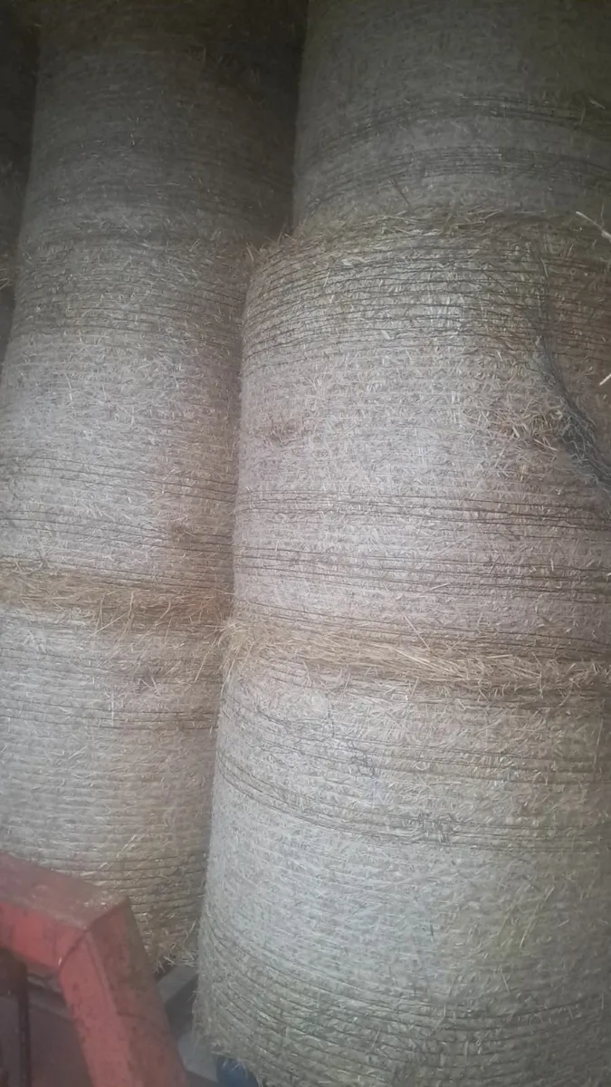 Hay and Straw - Image 1