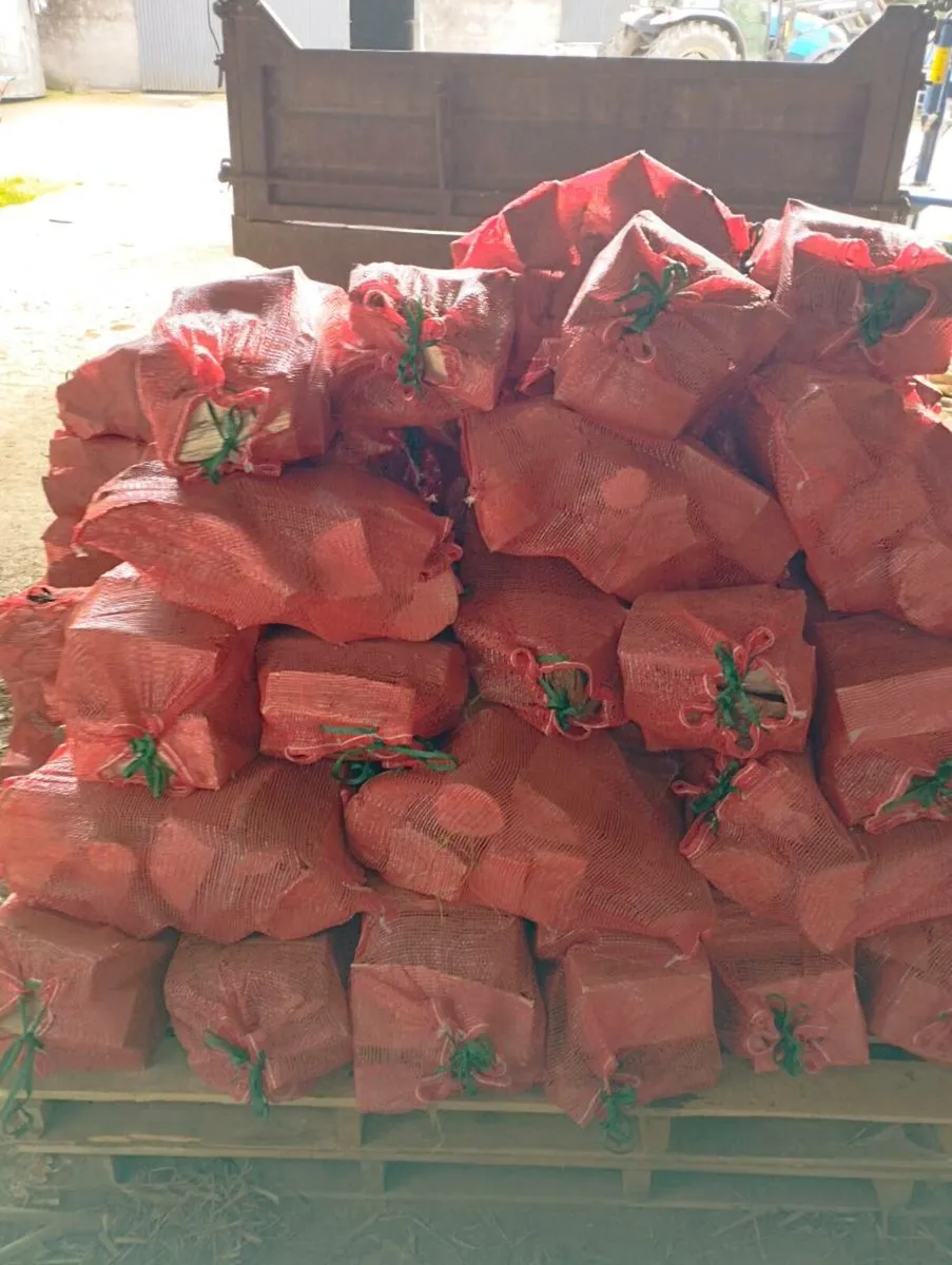 Ash firewood - Image 1