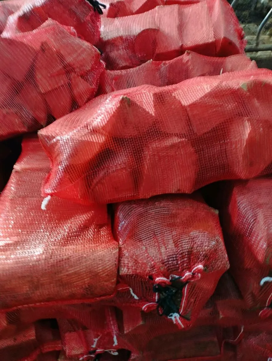 Ash firewood - Image 2