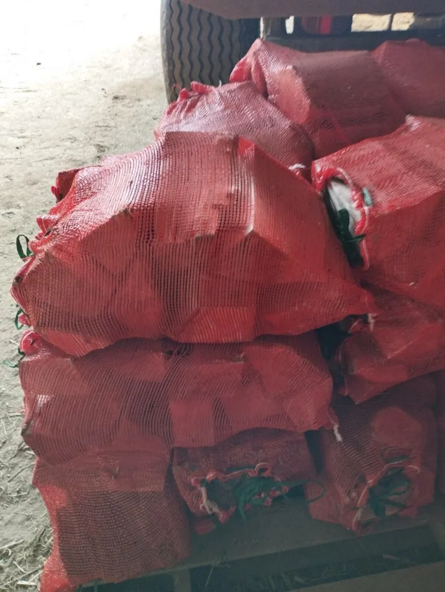 Ash firewood - Image 3