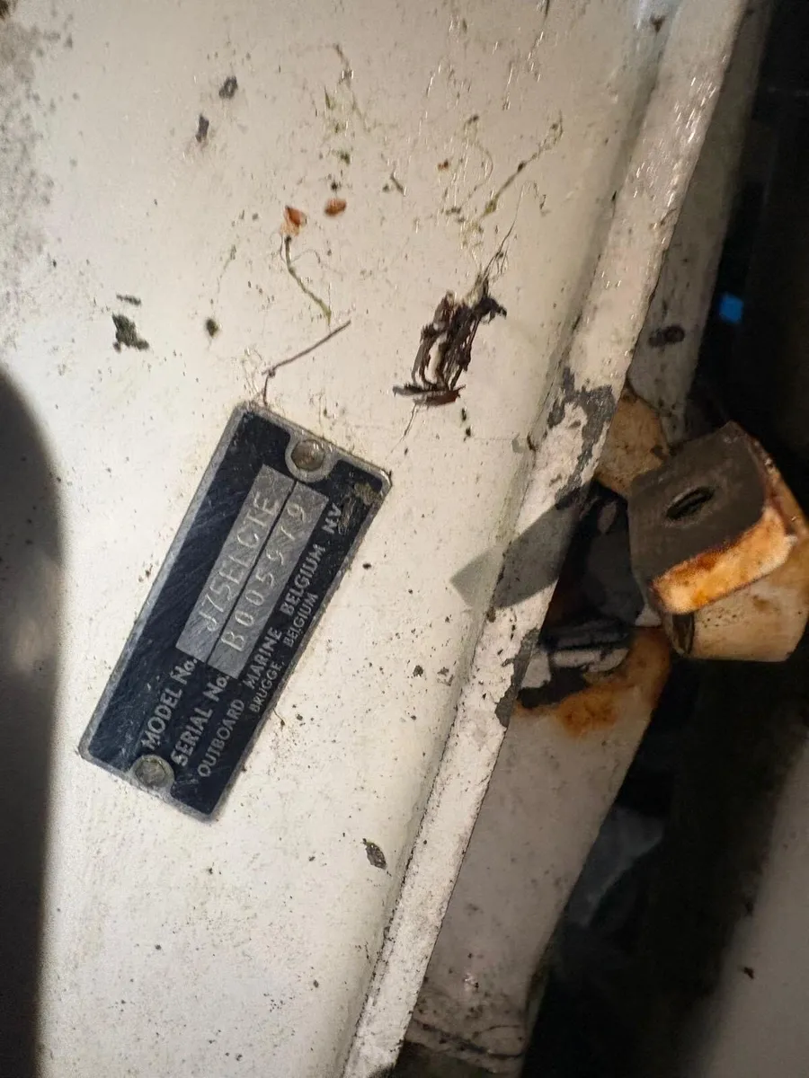 Boat and trailer - Image 2