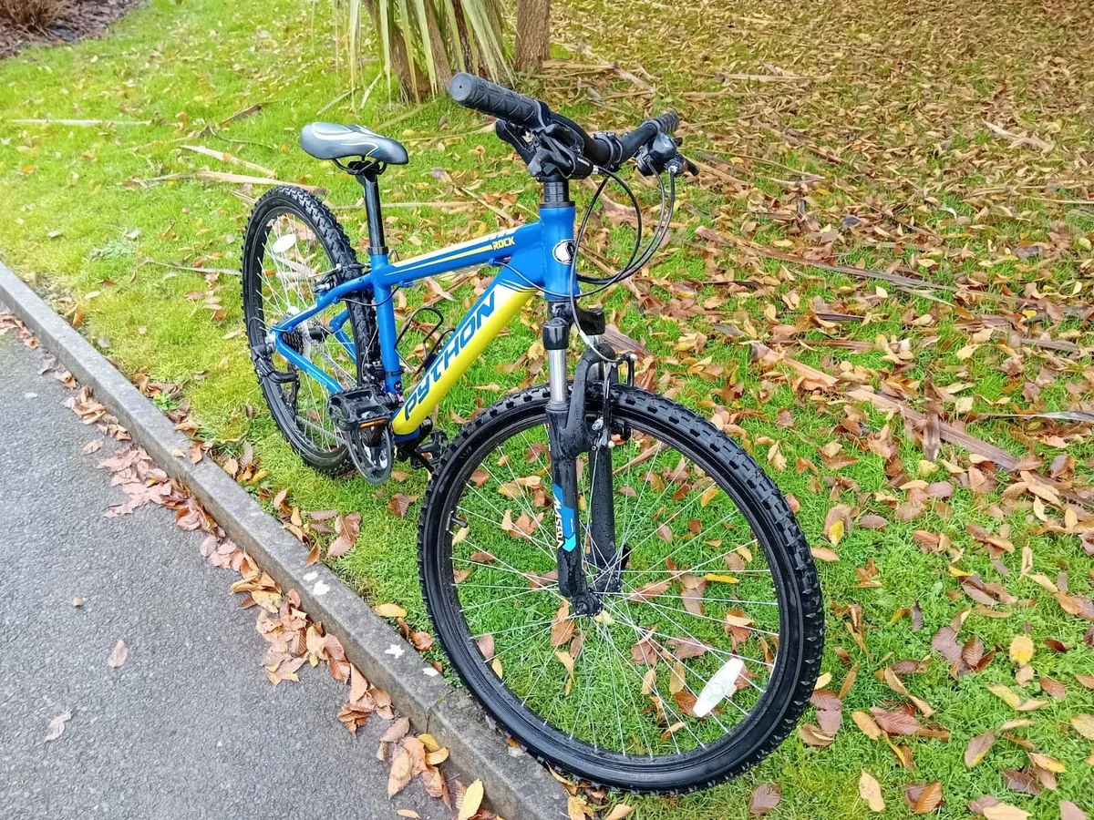 Boys Bike NEW - Image 1