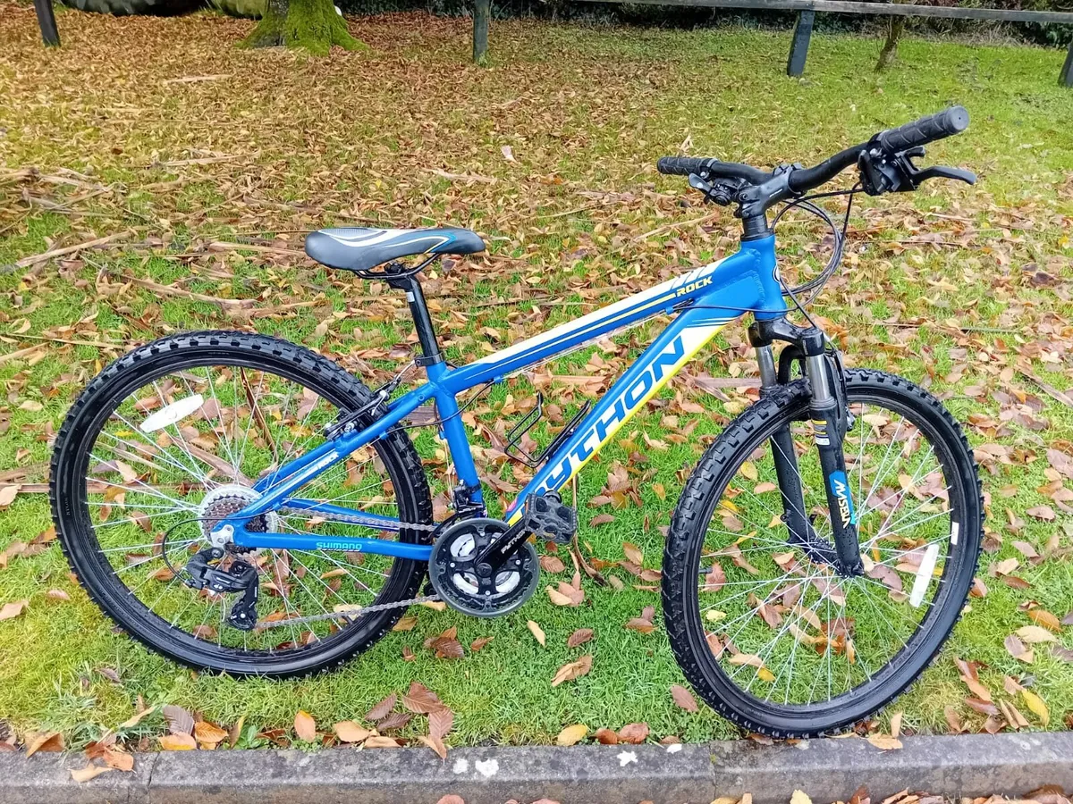 Boys Bike NEW - Image 2