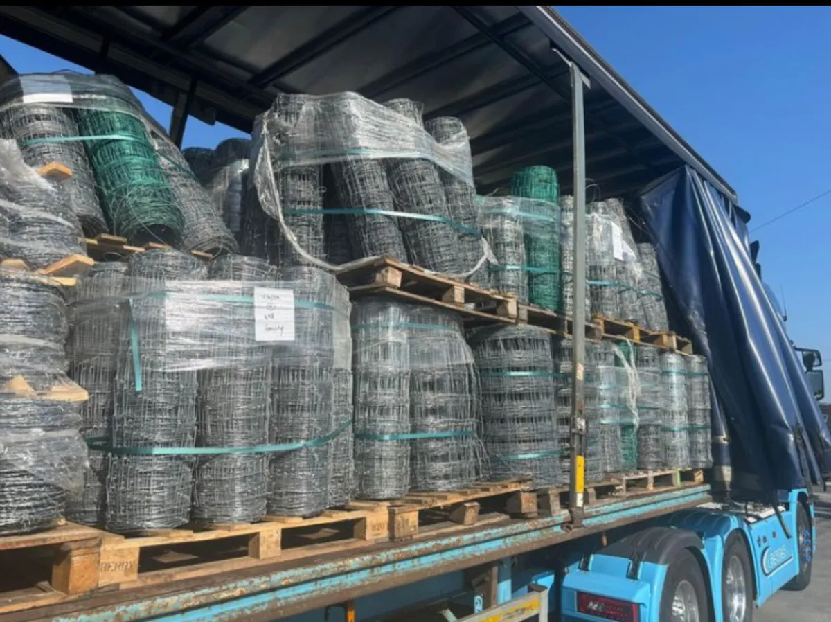 Sheep wire - Image 1