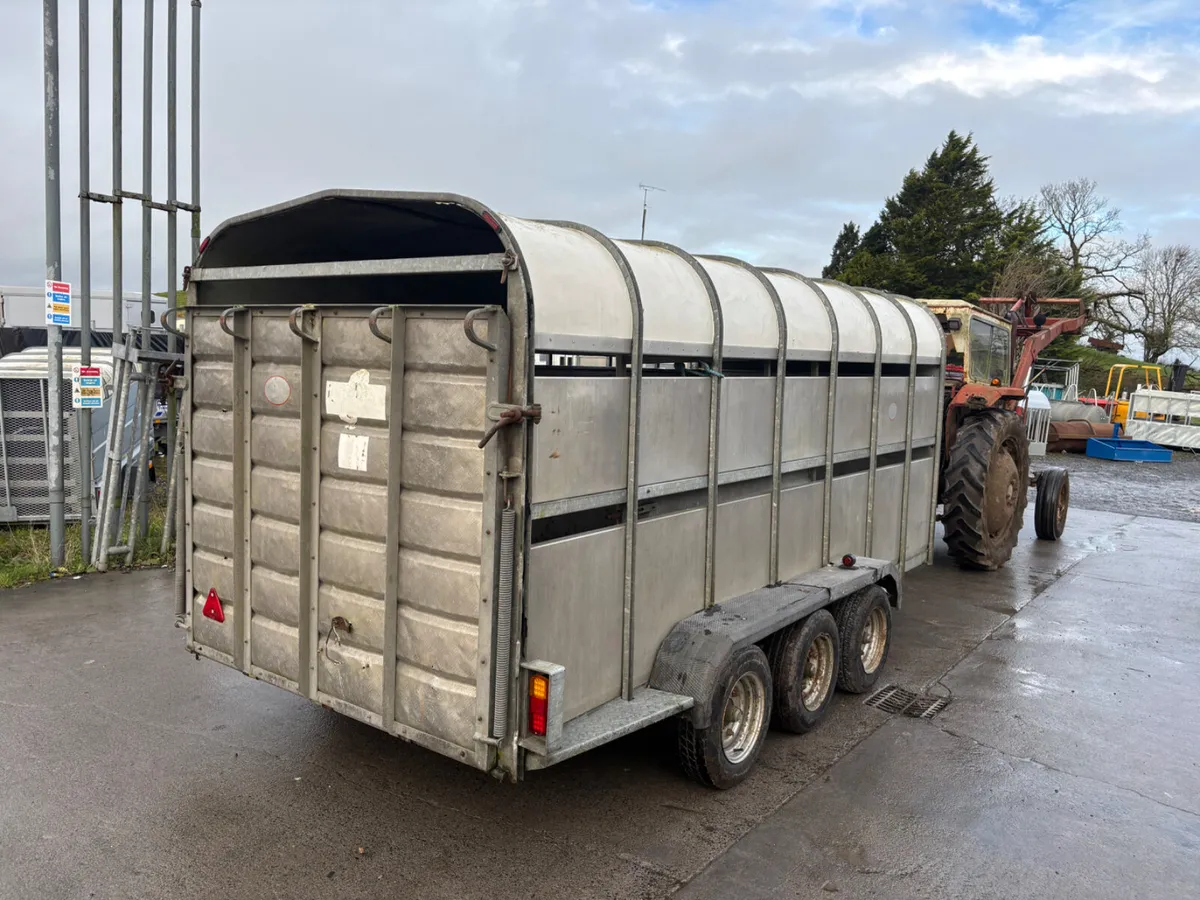 nugent 14ft livestock trailer - Image 3