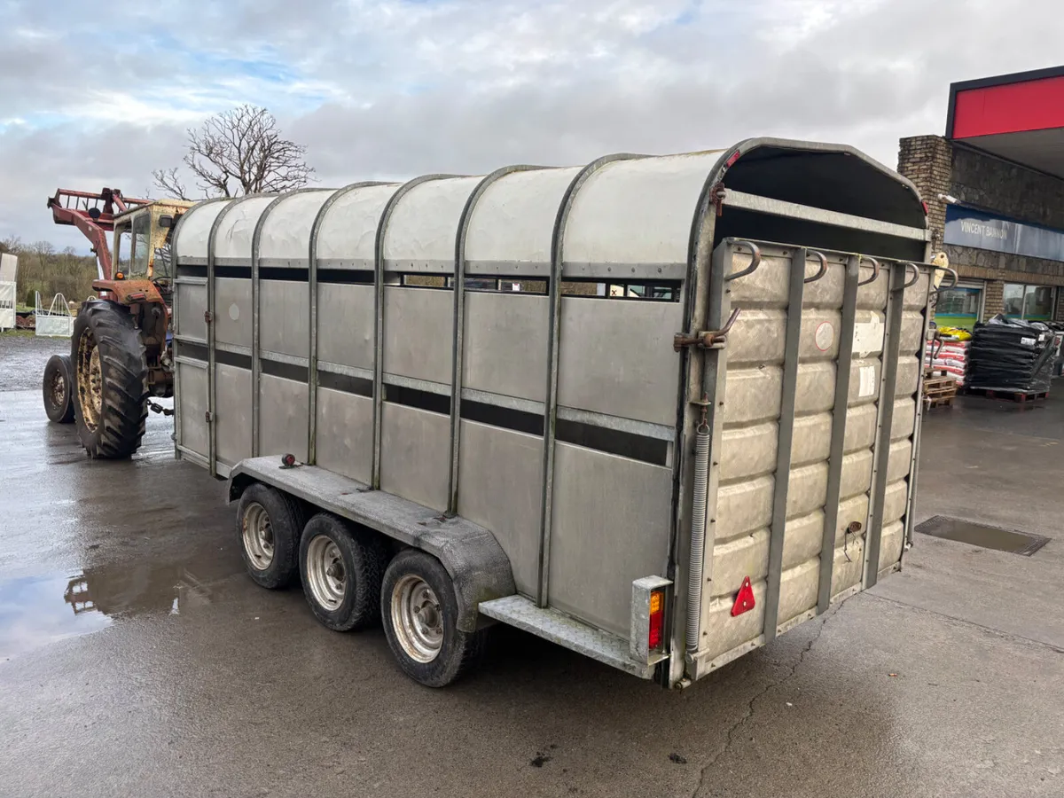 nugent 14ft livestock trailer - Image 4