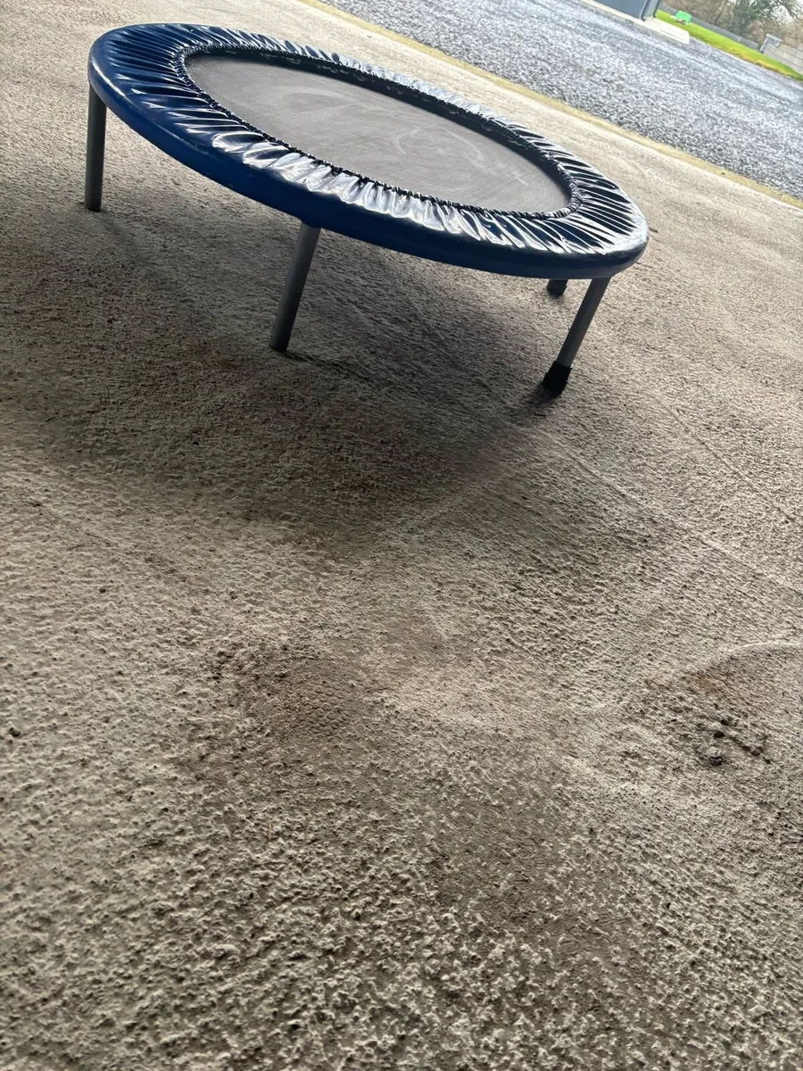 Small trampoline - Image 3