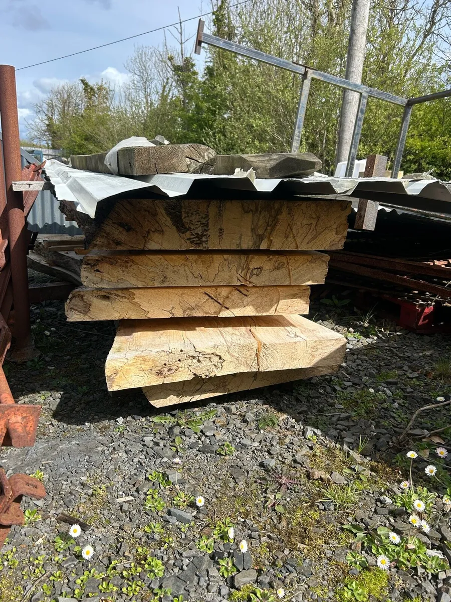 Large Beech slabs - Image 2