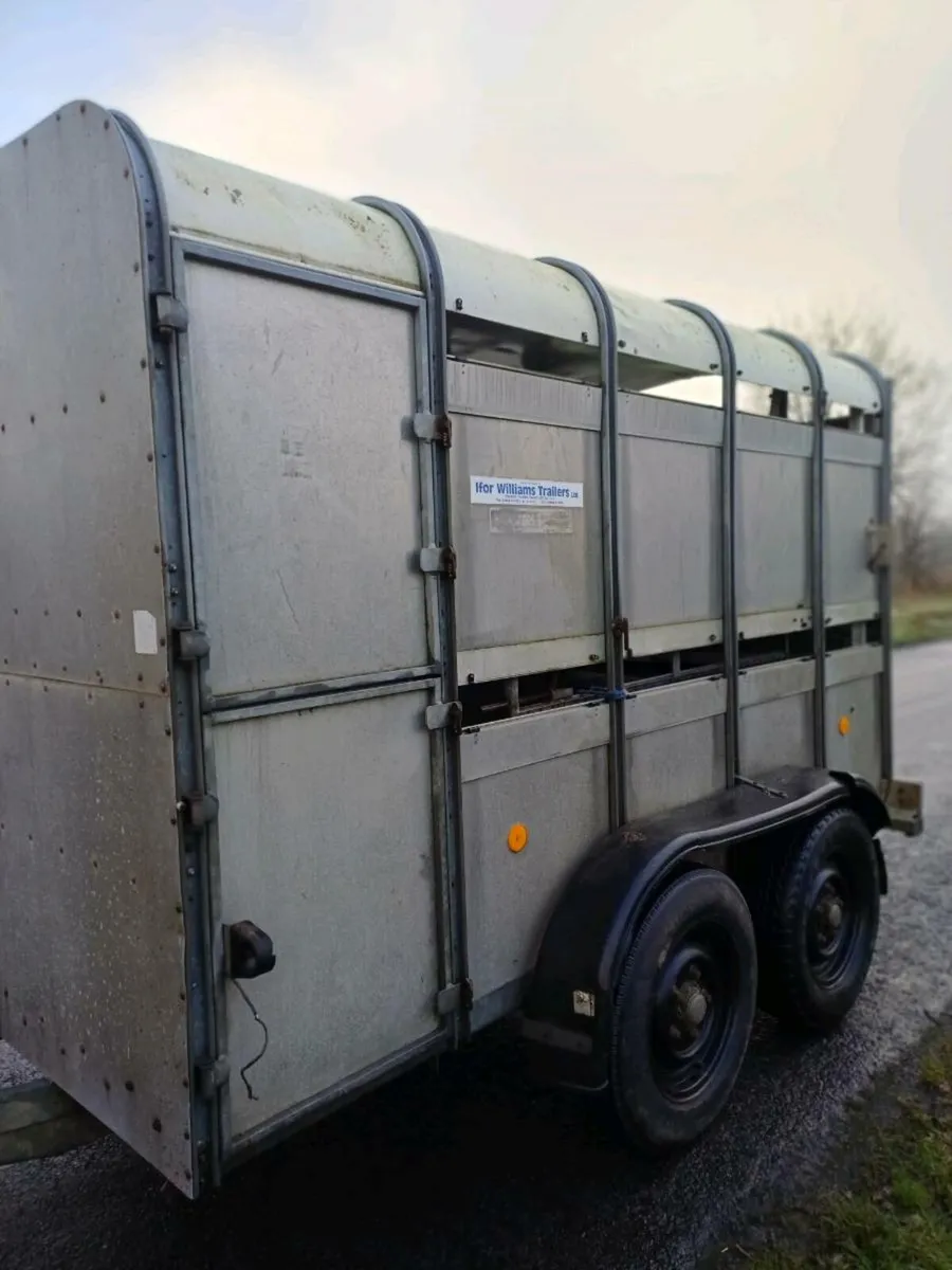 Ifor williams 10 x 6 cattle trailer - Image 2