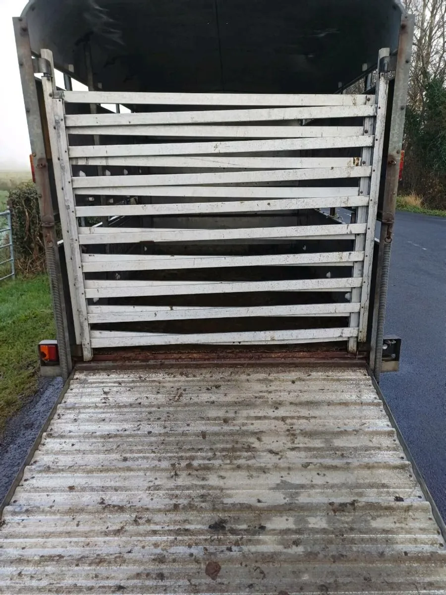 Ifor williams 10 x 6 cattle trailer - Image 3