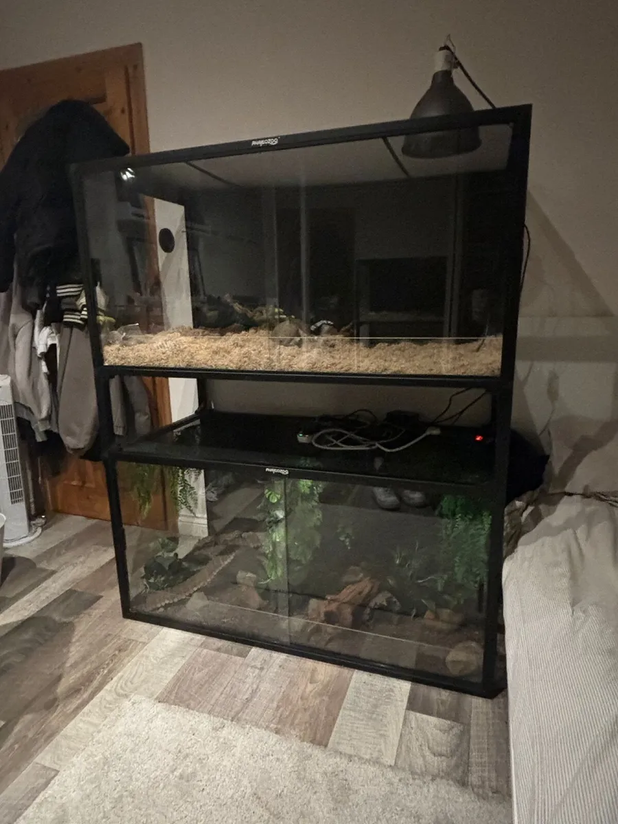 Phailozoo 120 Gallon reptile enclosures - Image 1