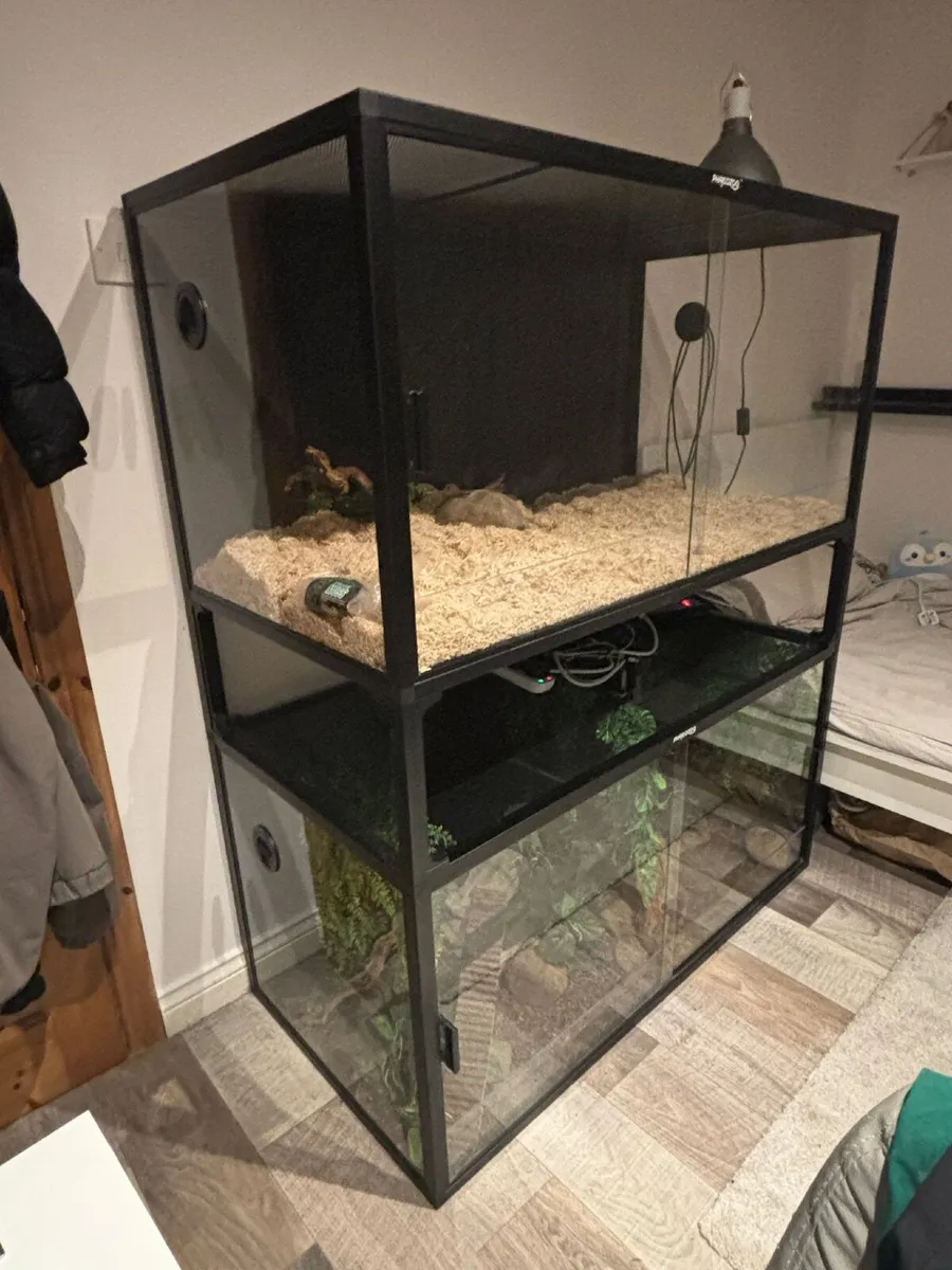 Phailozoo 120 Gallon reptile enclosures - Image 2