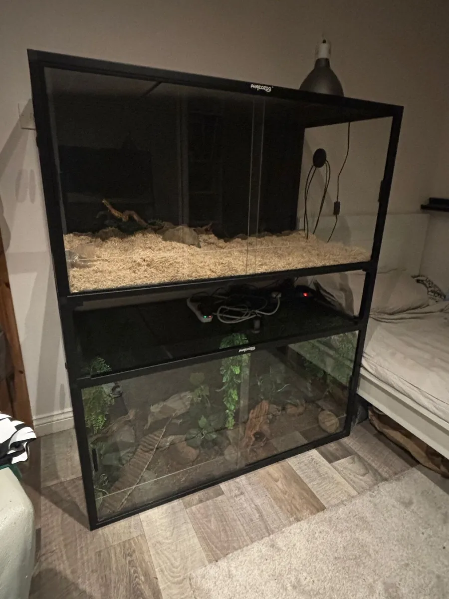Phailozoo 120 Gallon reptile enclosures - Image 3