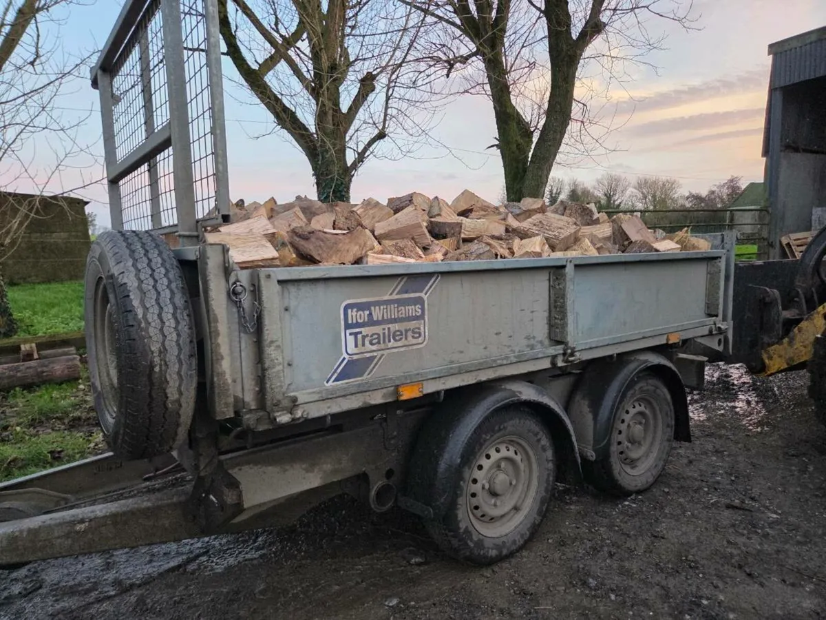 Firewood hardwood Oak and Beech - Image 1