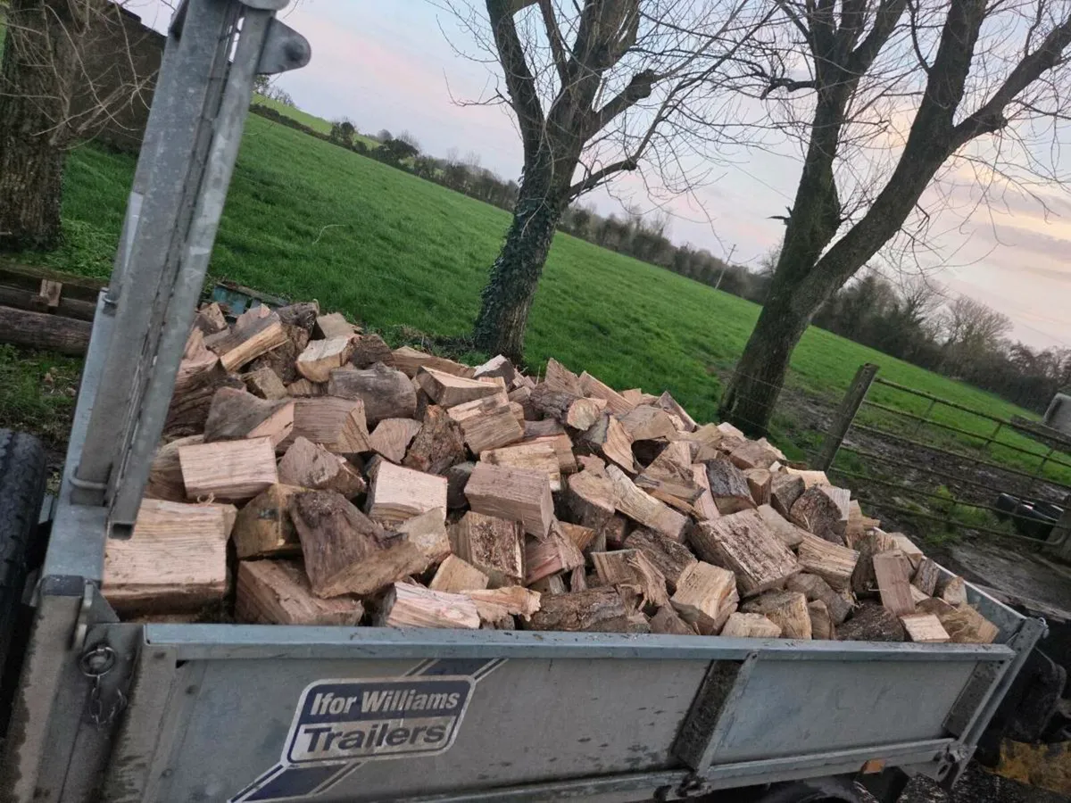 Firewood hardwood Oak and Beech - Image 2