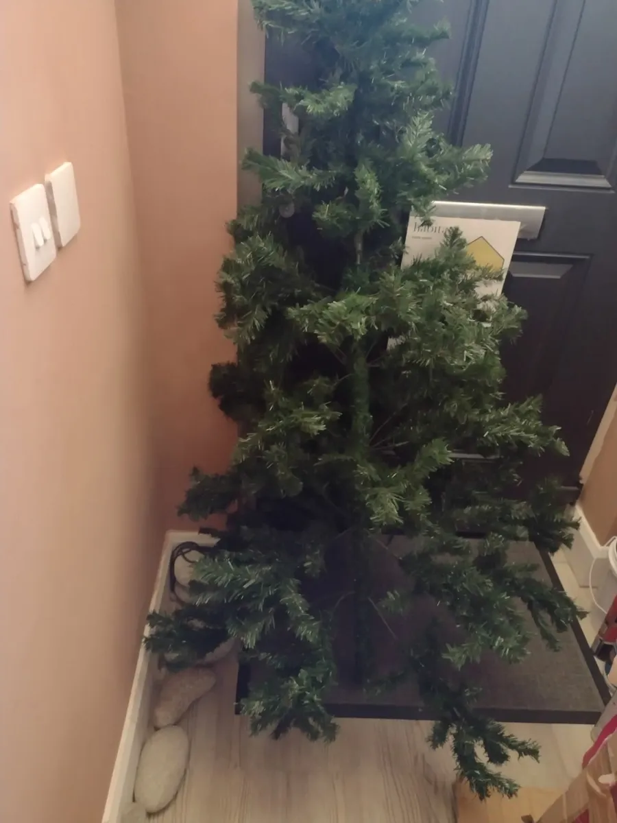 Large Cedar Fir Christmas tree 1.8m - Image 1