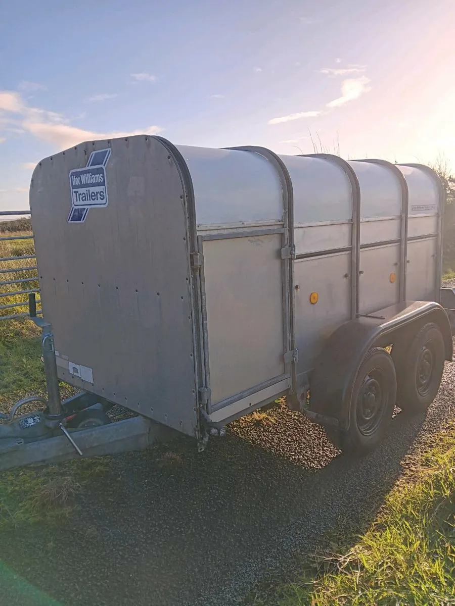 Ifor williams 8x4 trailer - Image 2
