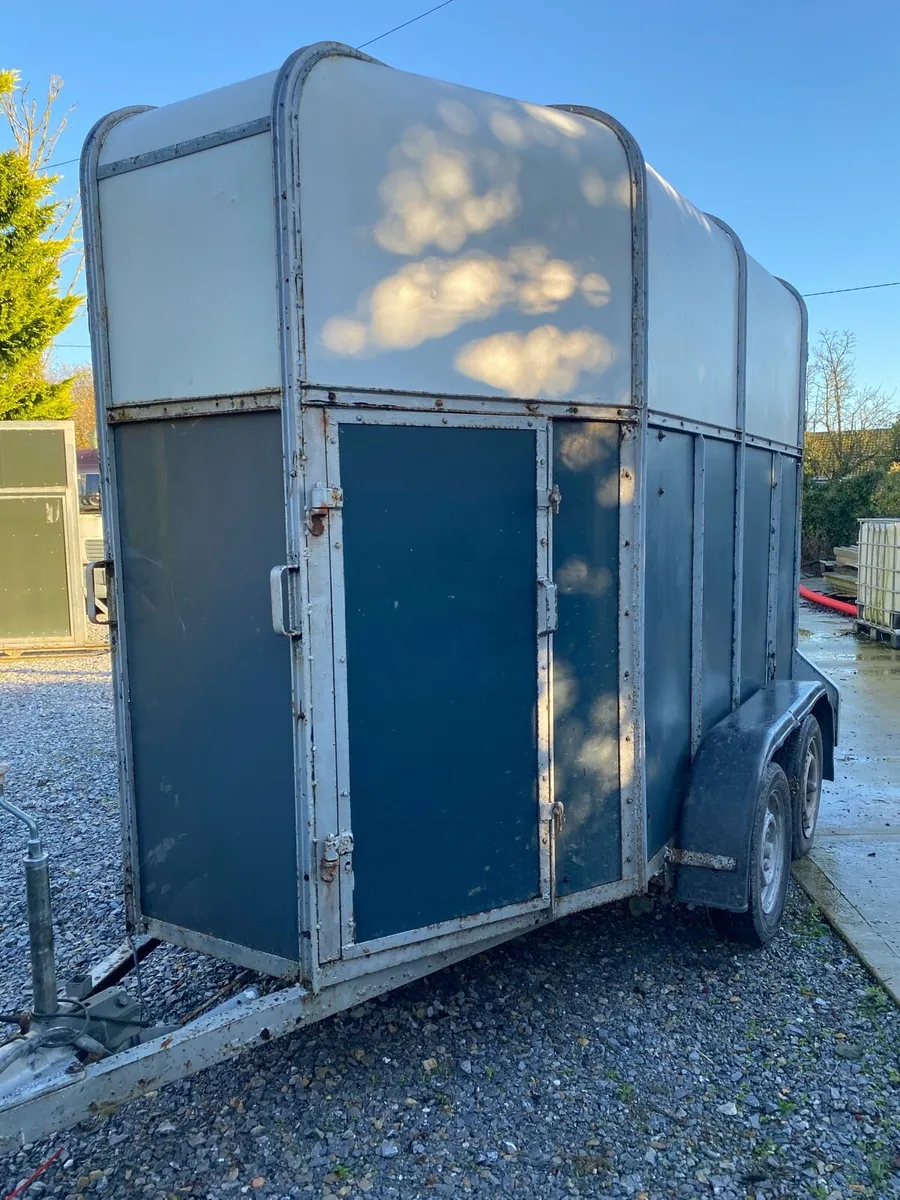 MARE AND FOAL BOX - Image 1