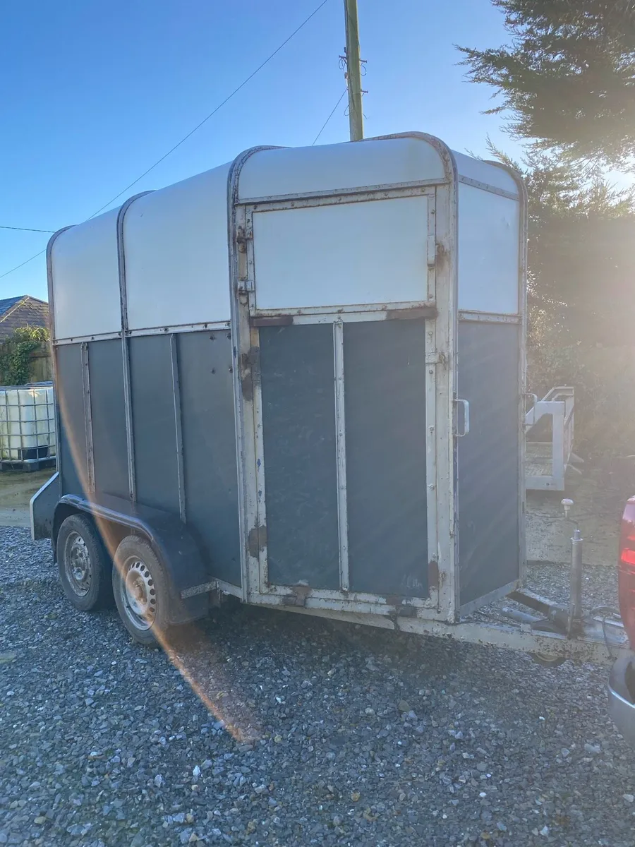 MARE AND FOAL BOX - Image 2