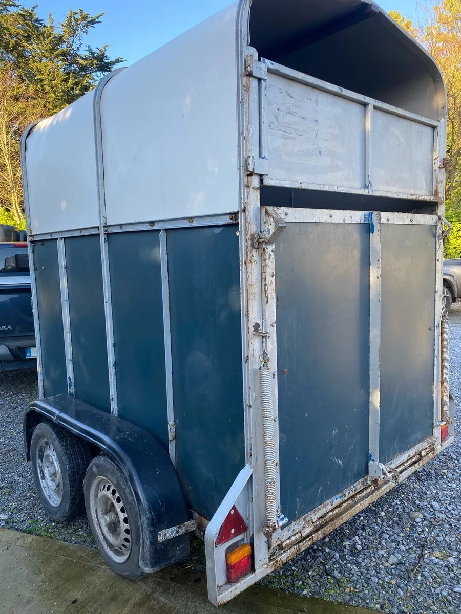 MARE AND FOAL BOX - Image 3