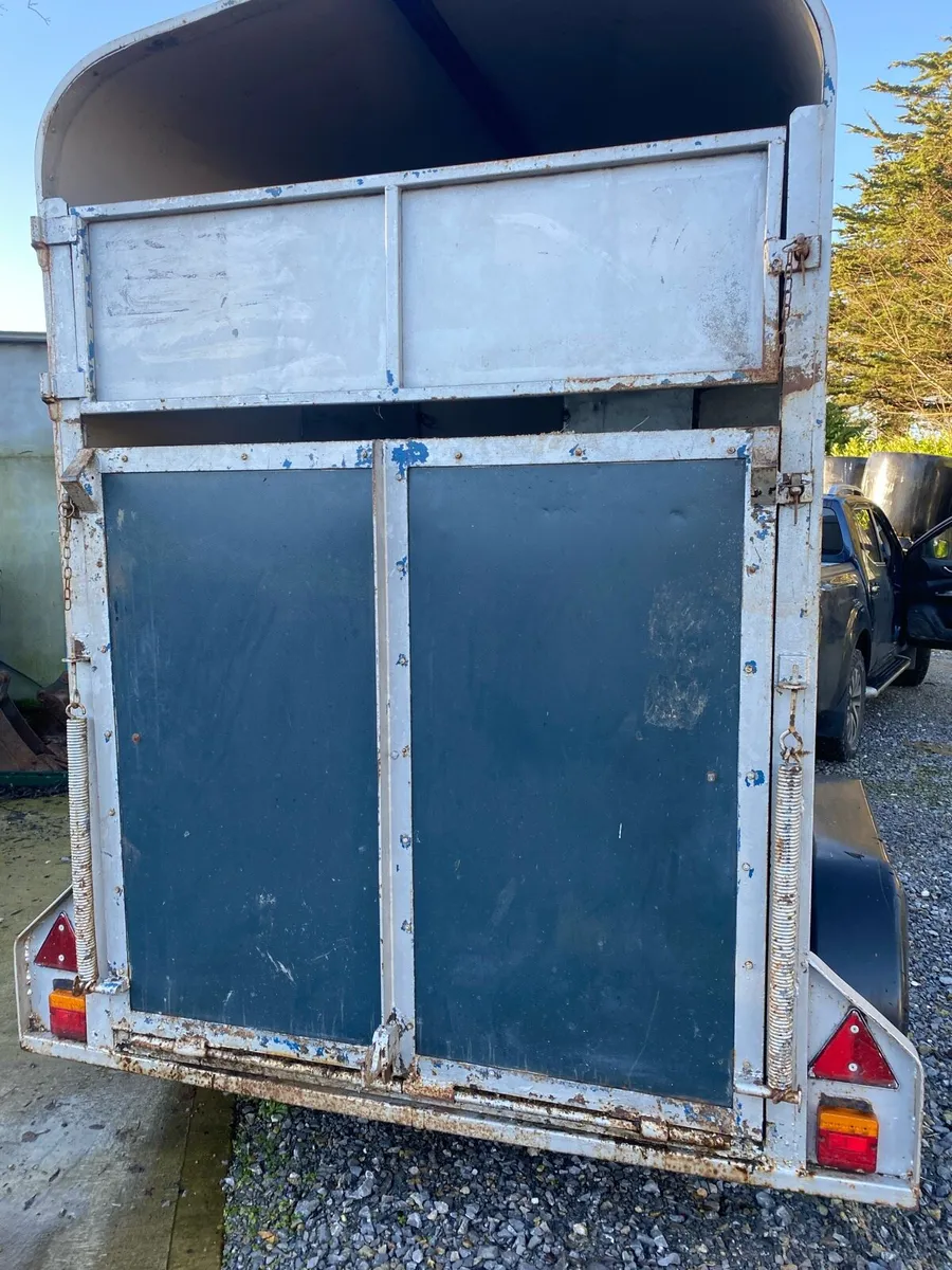 MARE AND FOAL BOX - Image 4