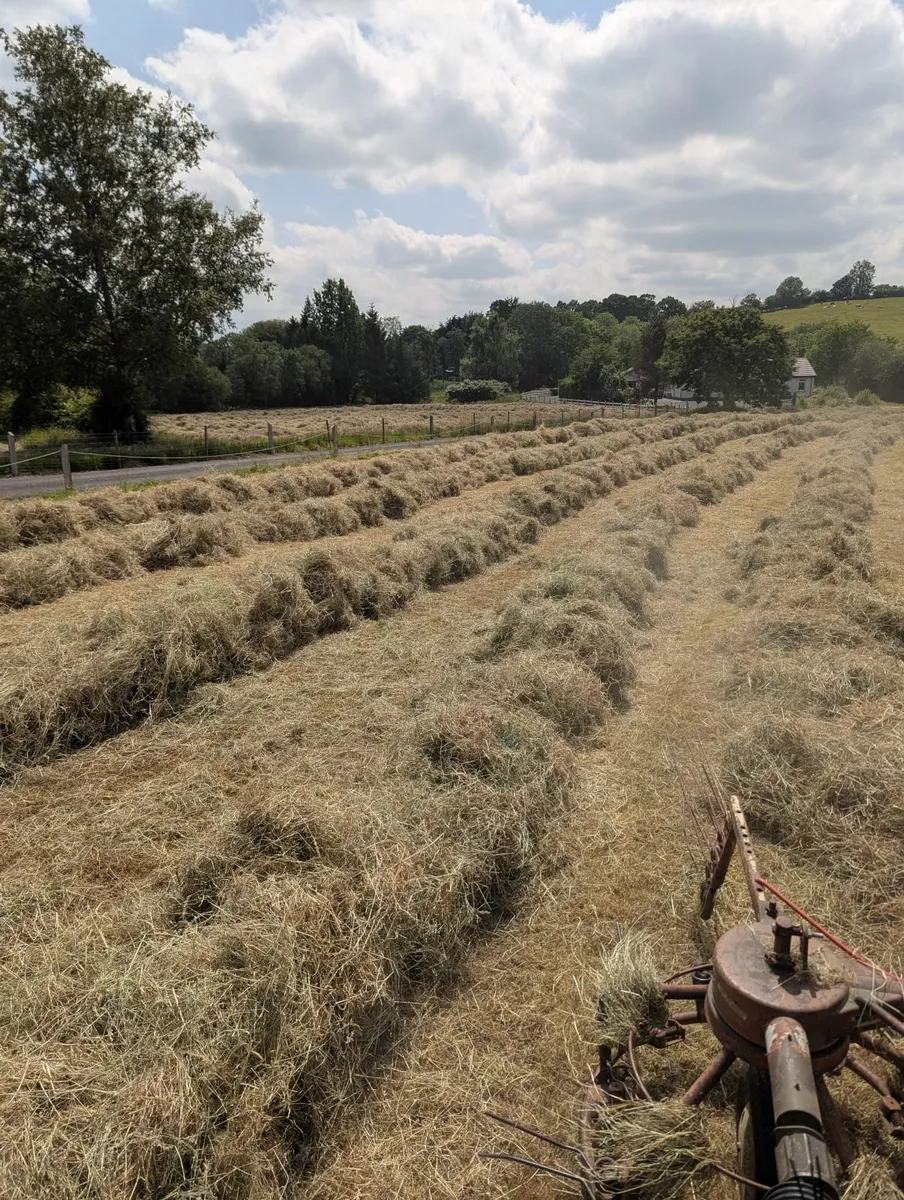 Hay & Haylage Round Bales - Image 2