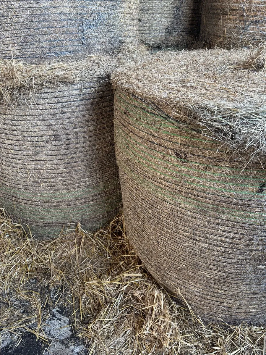 Bales of Hay - Image 1