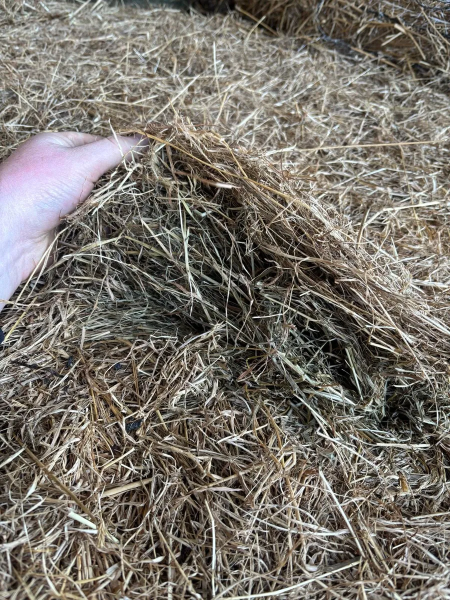 Bales of Hay - Image 2