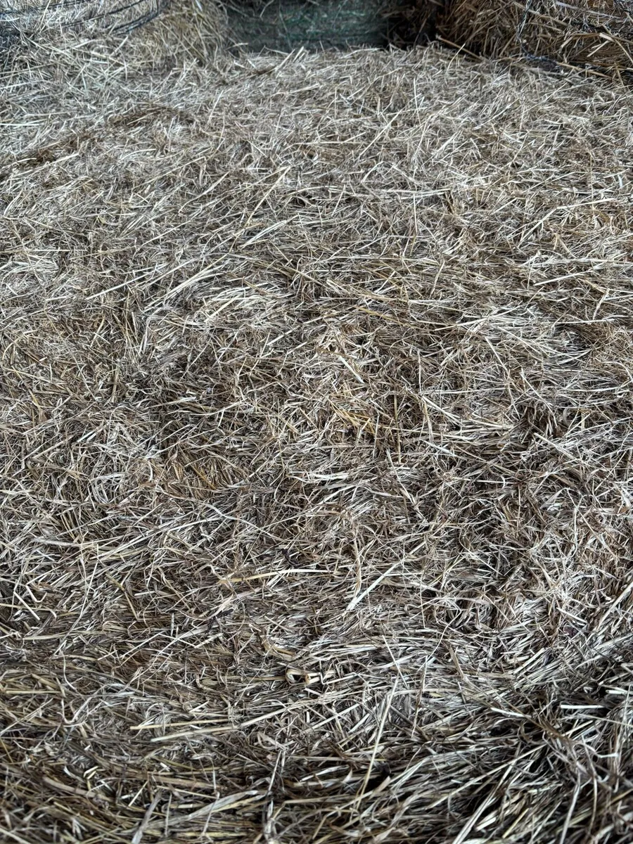 Bales of Hay - Image 3