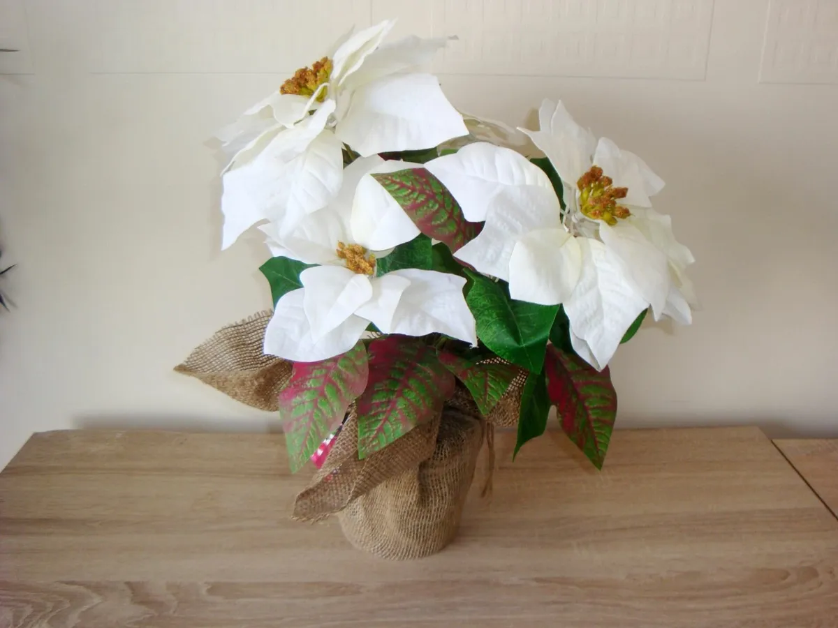 Large poinsettia H44cm - Image 3