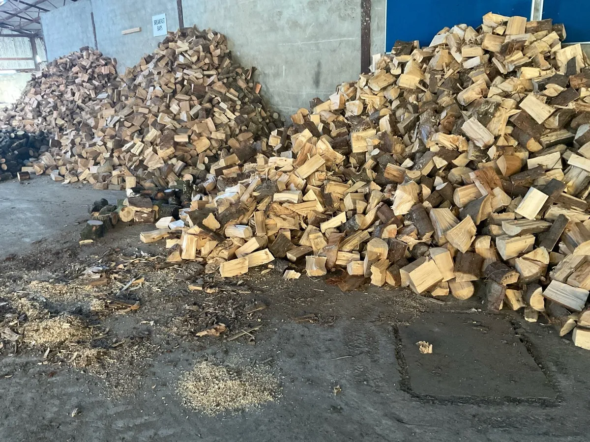 Fire wood - Image 1