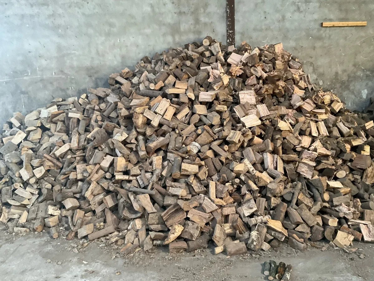 Fire wood - Image 2