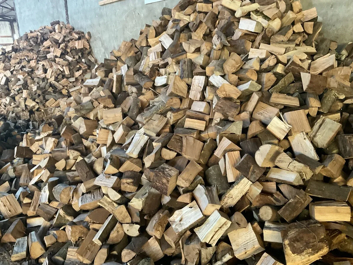 Fire wood - Image 3