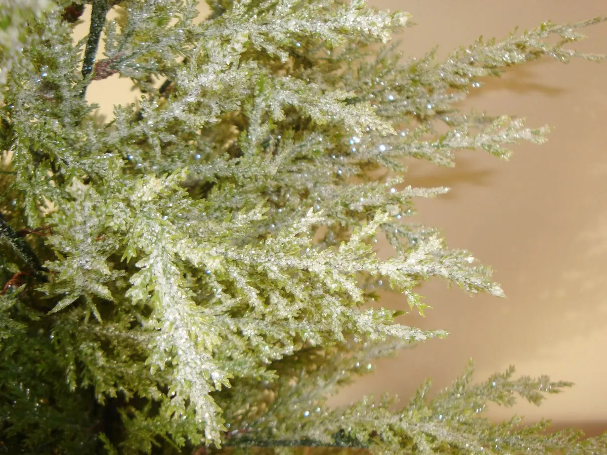 Table Top tree H77 Meadows & Byrne - Image 3