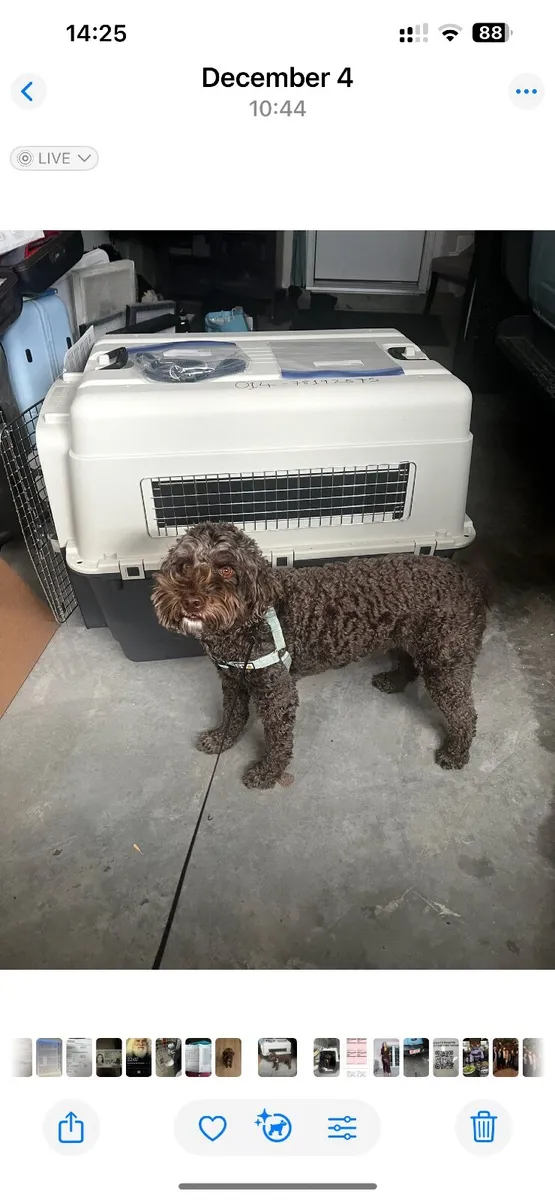 Crate dog mobile travel - Image 2