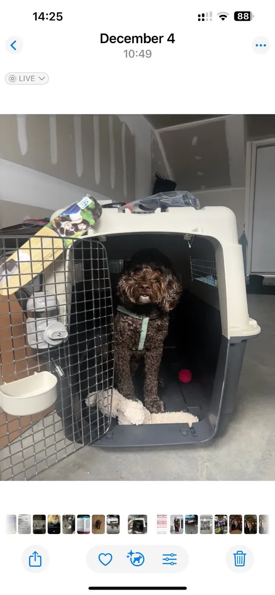 Crate dog mobile travel - Image 3