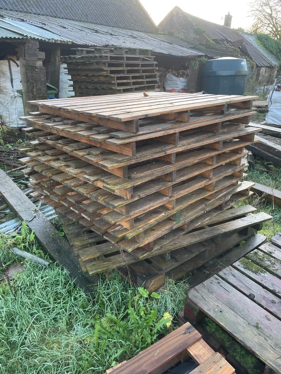 Free pallets and timber for firewood - Image 1