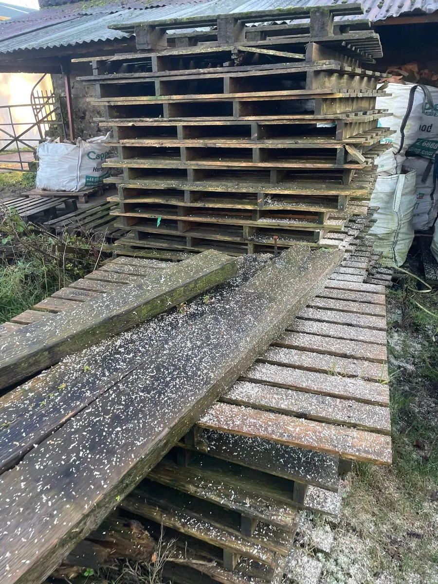 Free pallets and timber for firewood - Image 2