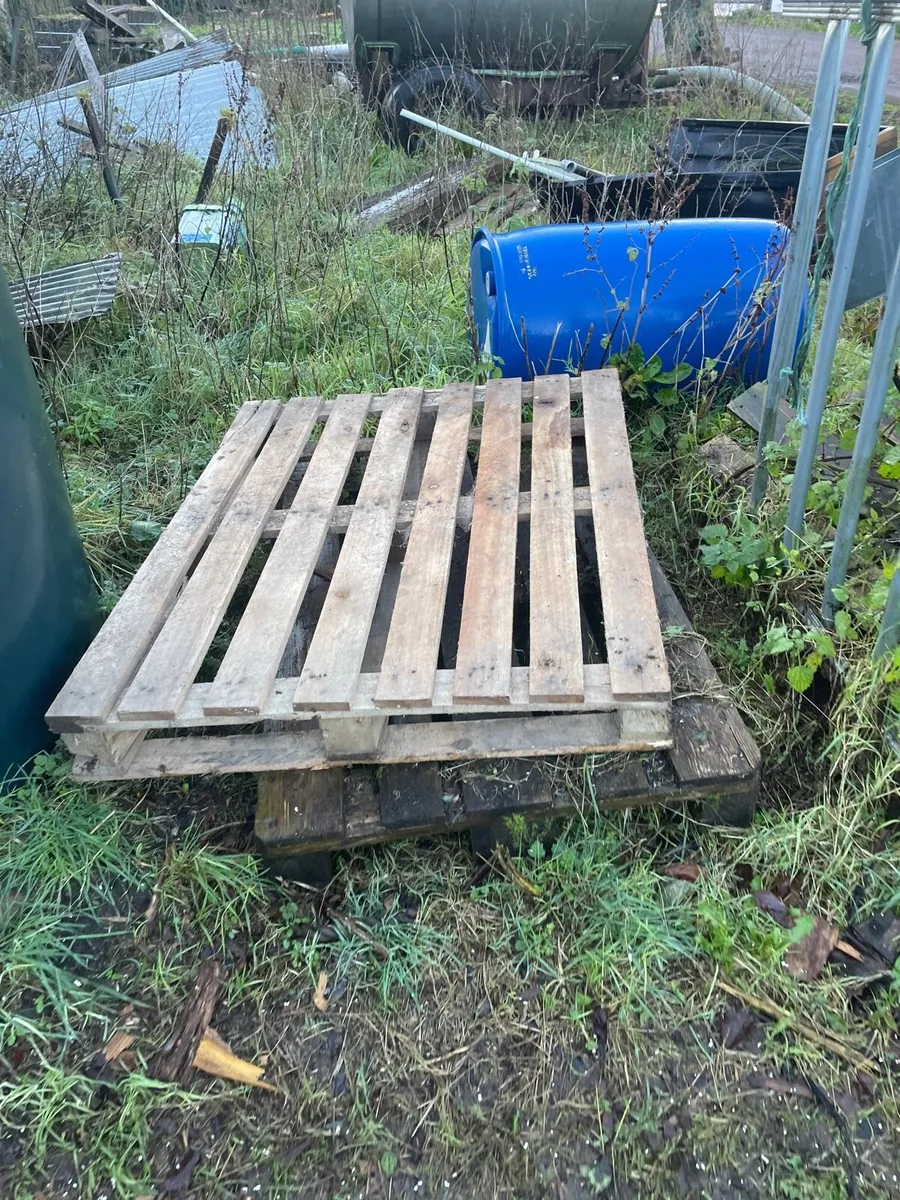 Free pallets and timber for firewood - Image 3