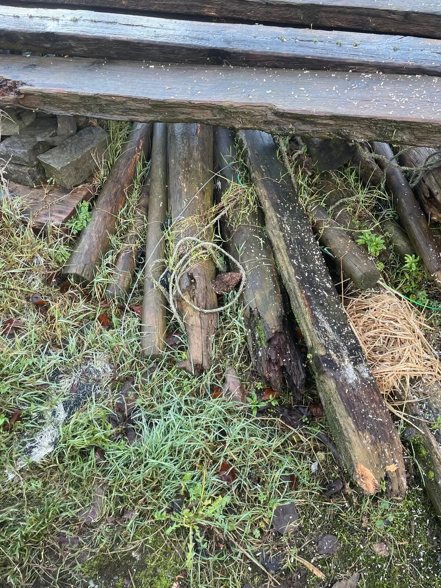 Free pallets and timber for firewood - Image 4