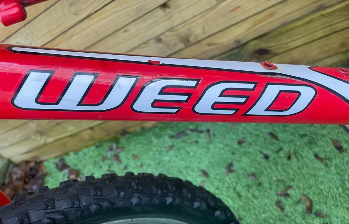 20 inch weed kids bike - Image 4