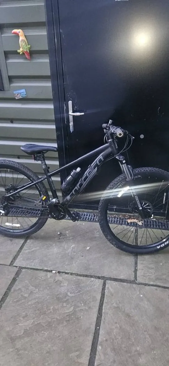 Carerra Small men's Mountain bike great condition( suited for child) - Image 2