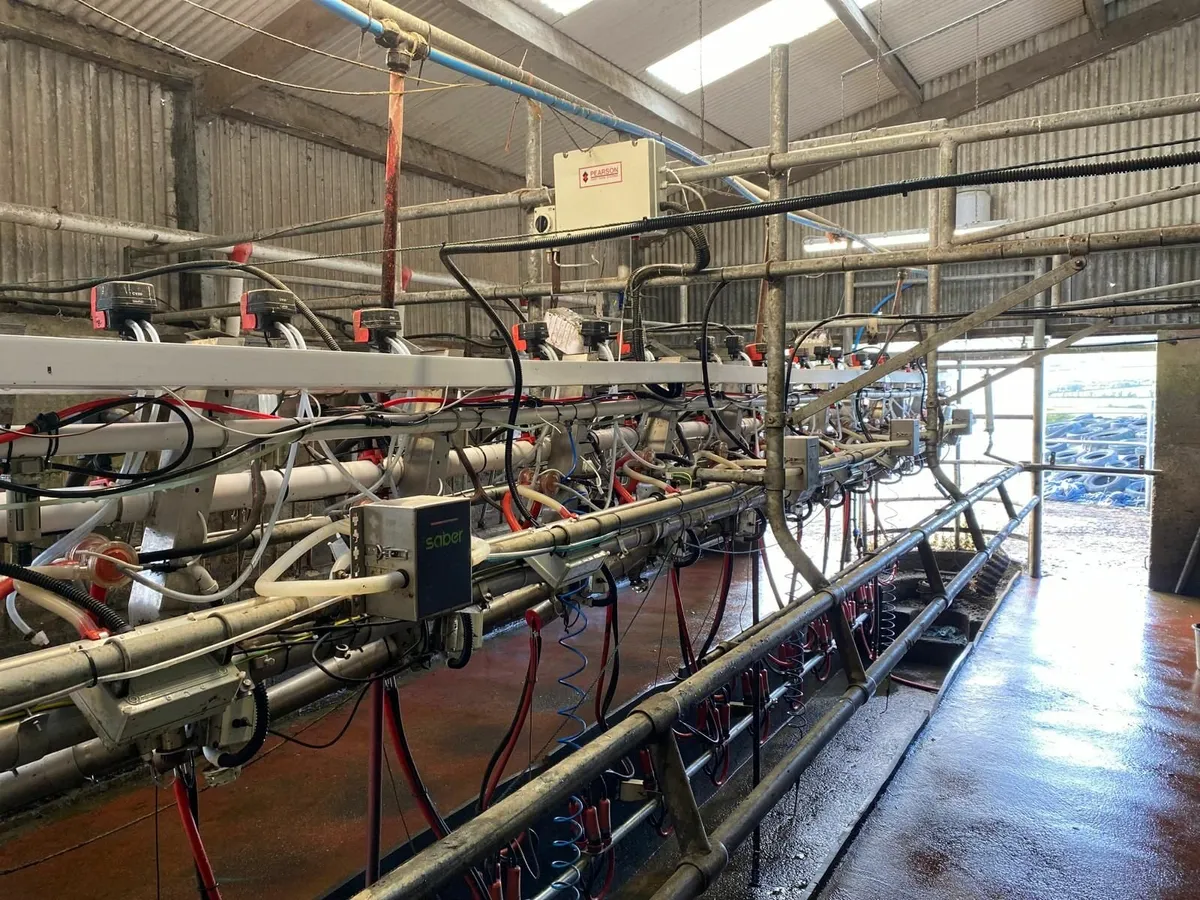 12 Unit Milking Parlour - Image 3