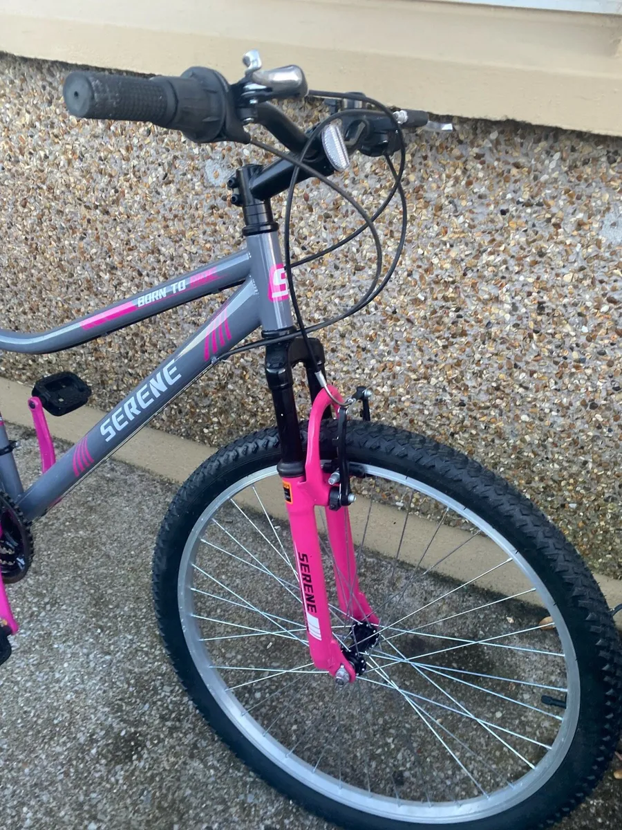 Serene Born To Ride Bike - Image 2