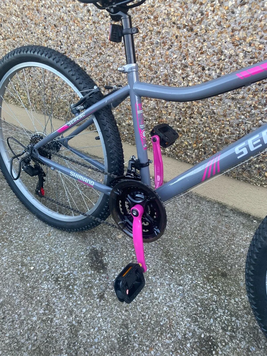 Serene Born To Ride Bike - Image 4