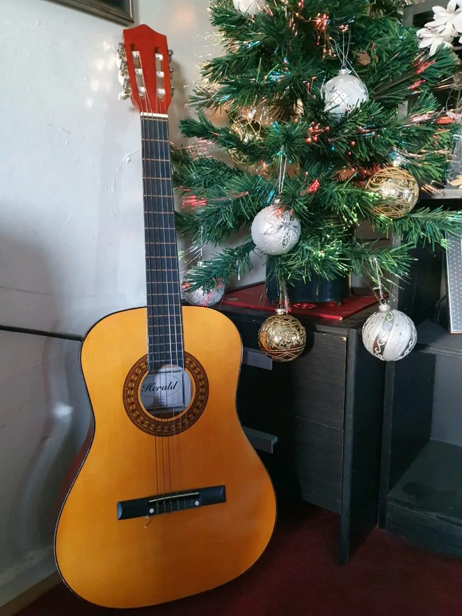 Herald Guitar HL34 + Soft Case - Image 1